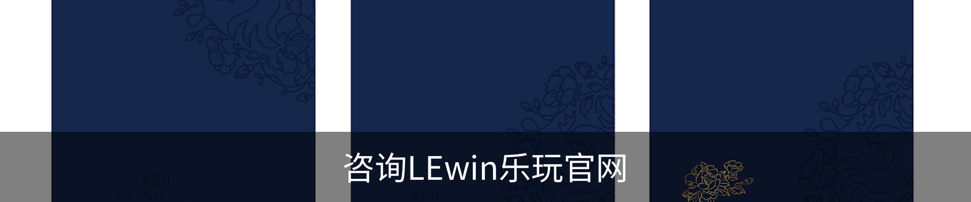 咨询LEwin乐玩官网