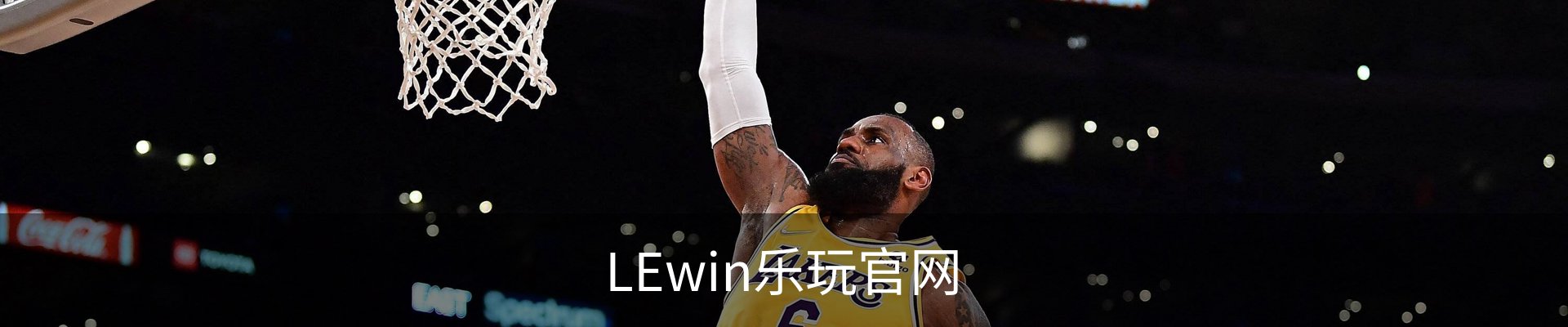 LEwin乐玩官网